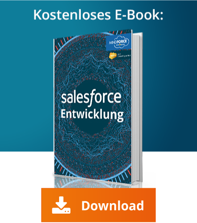 Salesforce Berechtigungen Funktionsweisen Vorteile