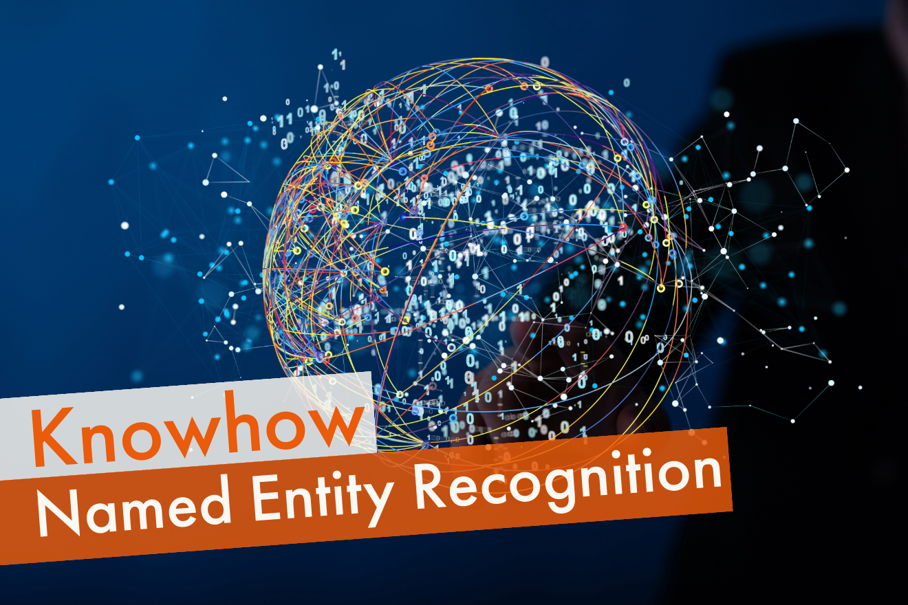 Named Entity Recognition (NER)
