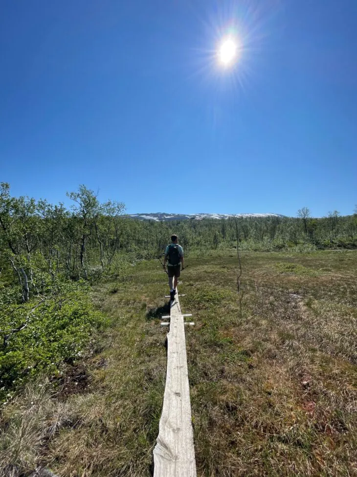 Maxi beim Wandern in Skandinavien