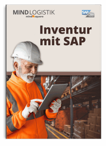 Buchcover Inventur mit SAP