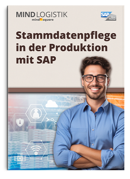 Buchcover Stammdatenpflege in der Produktion mit SAP
