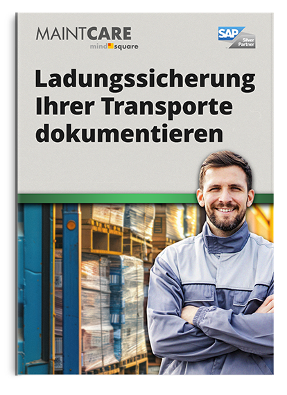 Buchcover Ladungssicherung Ihrer Transporte dokumentieren