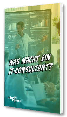 Buchgrafik-Klein_IT-Consult