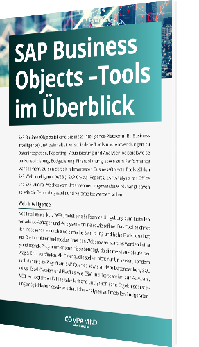 Unser Whitepaper zu SAP BusinessObjects – Tools im Überblick