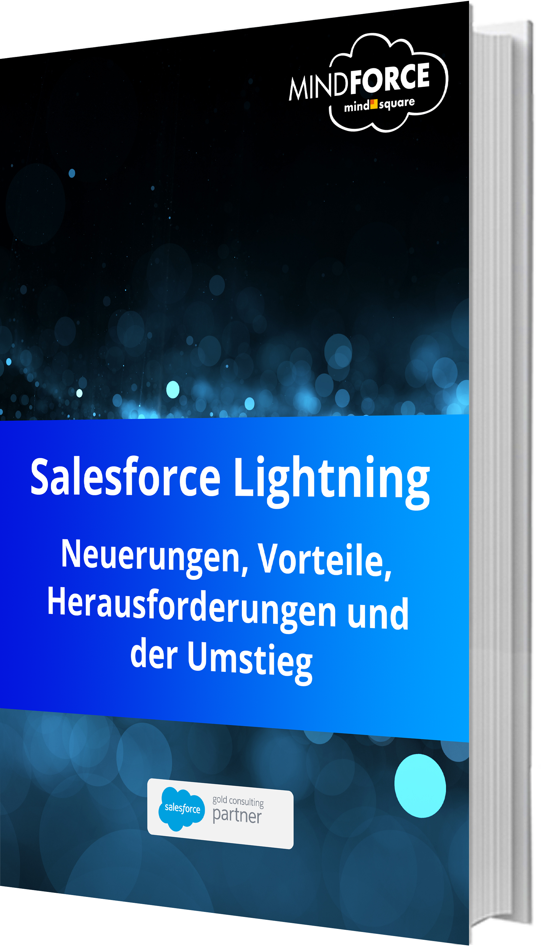 Unser E-Book zum Thema Salesforce Lightning