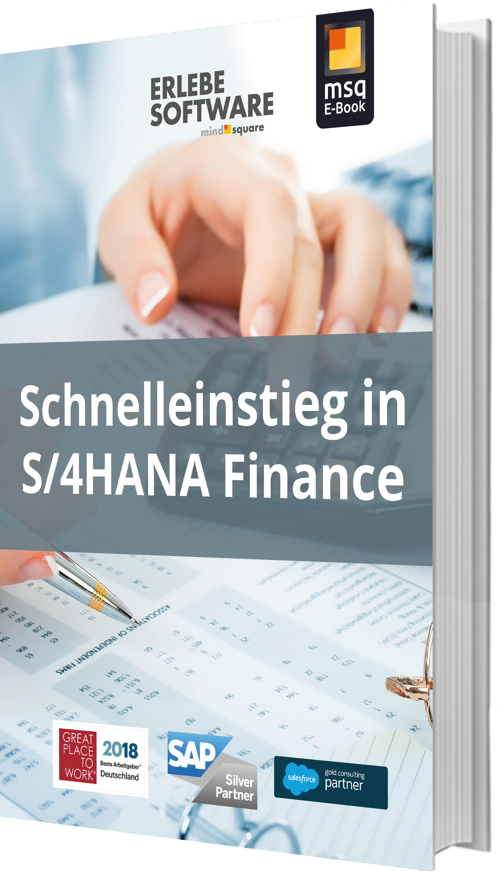 Unser E-Book zum Thema Schnelleinstieg in S/4HANA Finance