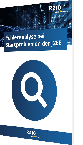 Fehleranalyse bei Startproblemen der J2EE
