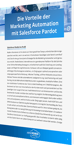 Unser Whitepaper zu den Vorteilen der Marketing Automation mit Salesforce Pardot