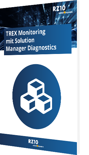 TREX Monitoring mit Solution Manager Diagnostics