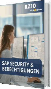 SAP Security & Berechtigungen
