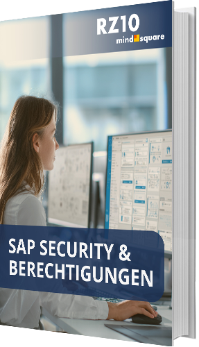 SAP Security & Berechtigungen