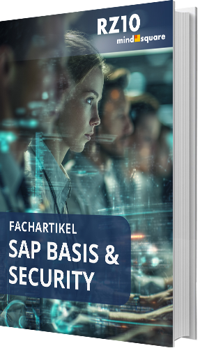 SAP Basis und Security
