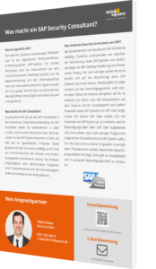 Was macht ein SAP Security Consultant?