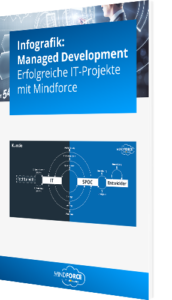 Infografik: Managed Development