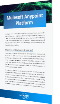 Mulesoft Anypoint Platform