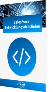 Unser Whitepaper zu den Salesforce Entwicklungsrichtlinien