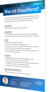 Unser Whitepaper zum Thema Was ist Visualforce?