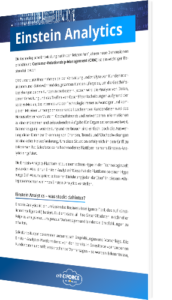 Unser Whitepaper zum Thema Einstein Analytics