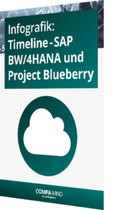 Unsere Infografik zur Timeline – SAP BW/4HANA und Project Blueberry