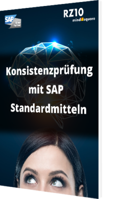 Konsistenzprüfung mit SAP Standardmitteln