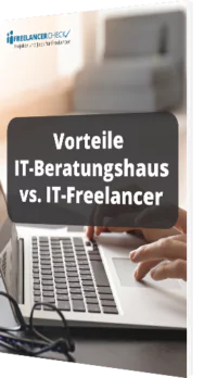 Unser Whitepaper zu den Vorteilen eines IT-Beratungshauses vs. IT-Freelancers