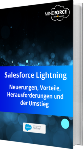 Unser E-Book zum Thema Salesforce Lightning