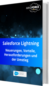 Unser E-Book zum Thema Salesforce Lightning