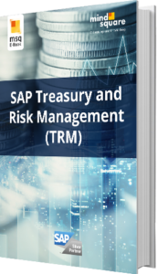 Unser E-Book zum Thema SAP Treasury and Risk Management