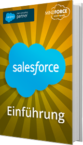 Unser E-Book zum Thema Salesforce Einführung