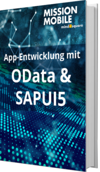 E-Book App-Entwicklung