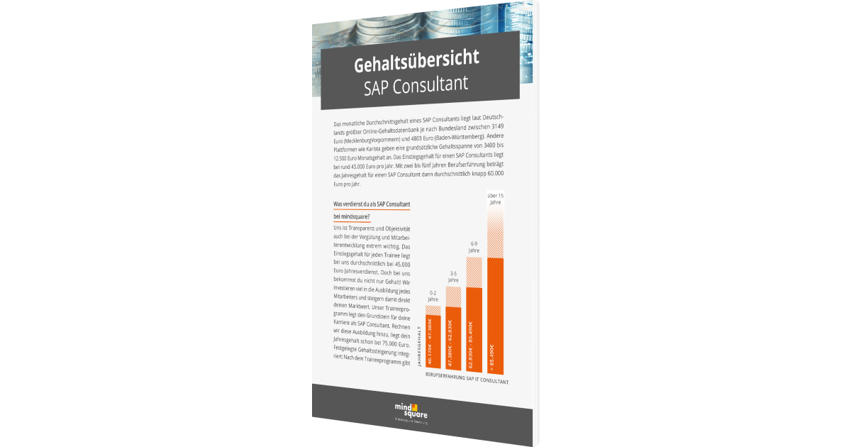 Gehalt SAP Consultant? Was verdient man in der IT?