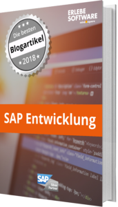 SAP Entwicklung