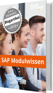 SAP Modulwissen