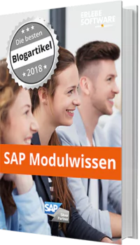 SAP Modulwissen