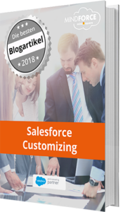 Salesforce Customizing