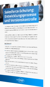 Schulung Entwicklungsprozesse und Versionskontrolle