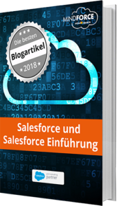Salesforce und Salesforce Einführung