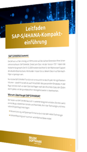 SAP S/4HANA Kompakteinführung