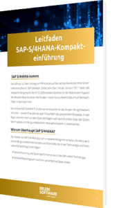 SAP S/4HANA Kompakteinführung