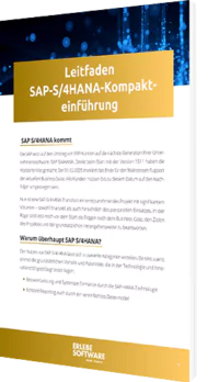 SAP S/4HANA Kompakteinführung