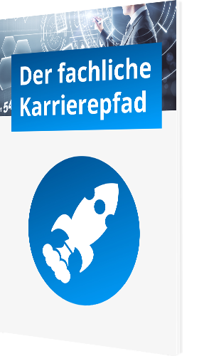 Der fachliche Karrierepfad