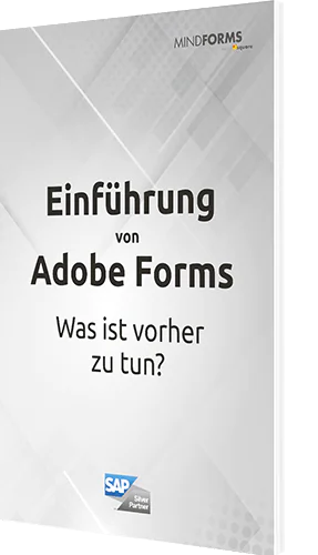 Unser Guide zum Thema: Einführung von Adobe Forms Was ist vorher zu tun?