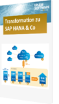 SAP HANA Infografik