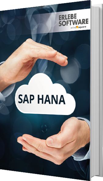 E-Book SAP HANA