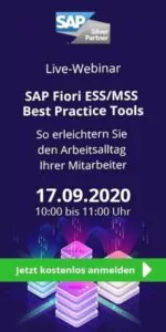 SAP Fiori ESS/MSS Best Practice Tools