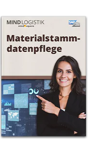 E-Book: Materialstammdatenpflege