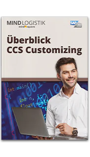 Infografuk Ueberblick CCS Customizing