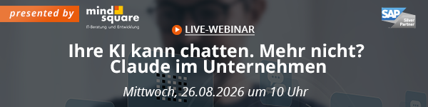 Claude im Unternehmen