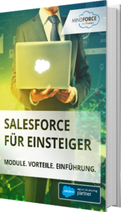 Unser E-Book zu Salesforce für Einsteiger