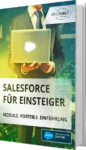Unser E-Book zu Salesforce für Einsteiger